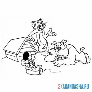 Раскраска спайк, том и джерри