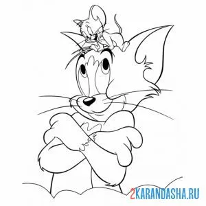 Раскраска том и джерри на голове