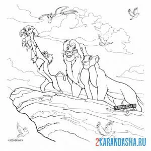 Раскраска симба признанный король