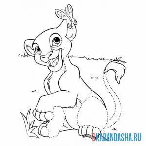 Раскраска симба и бабочка король лев