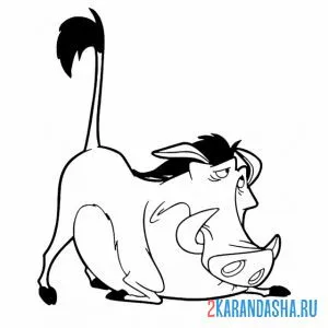Раскраска пумба одинок