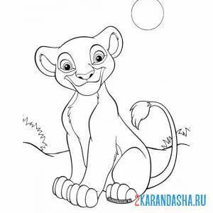 Раскраска нала из король лев