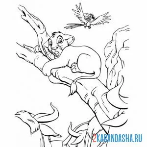 Раскраска симба прячется от быков
