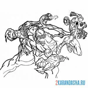Раскраска человек-паук сражается с веномом