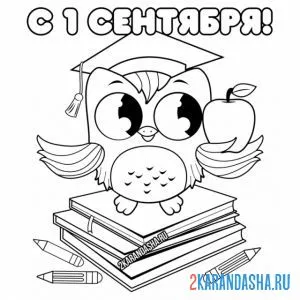 Раскраска с 1 сентября сова
