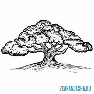 Раскраска необычное дерево