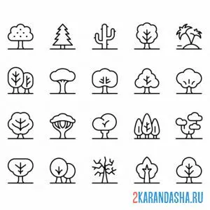 Раскраска много разных деревеьв