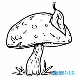 Раскраска гриб с листочком на шляпке