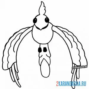 Раскраска золотой феликс