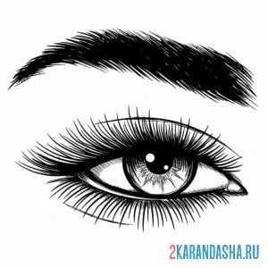 Раскраска глаз для макияжа косметика