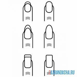 Раскраска шесть форм ногтей