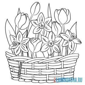 Раскраска корзинка с цветами и тюльпаны