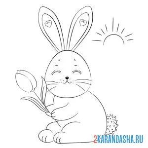 Раскраска зайчик с тюльпаном