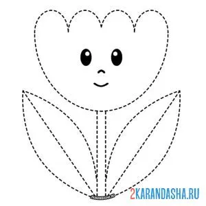 Раскраска тюльпан по линиям