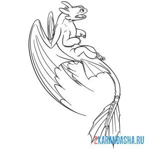 Раскраска беззубик в небе