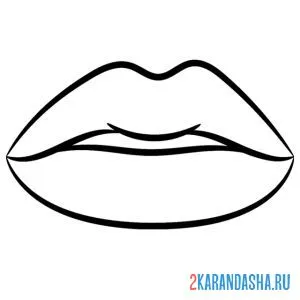 Раскраска пухлые губки