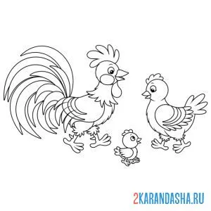Раскраска папа петух, мама курица и цыпленок