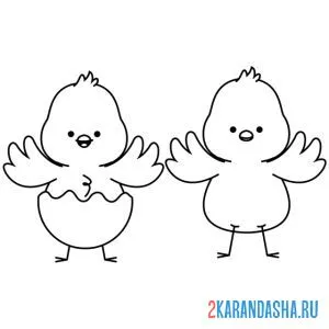 Раскраска два цыпленка гуляют
