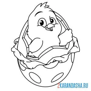 Раскраска цыпленок вылупился из цветного яйца
