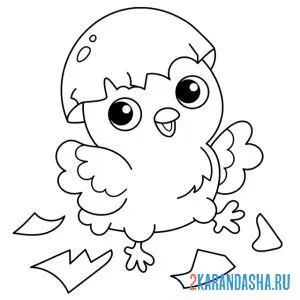 Раскраска цыпленок со скорлупой на голове