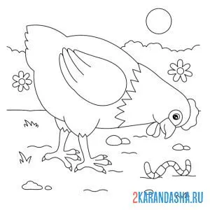 Раскраска курица нашла червяка