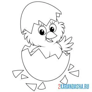 Раскраска смешной цыпленок вылупился