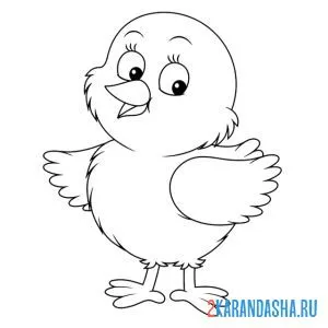 Раскраска маленький цыпленок