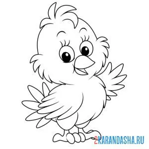 Раскраска цыпленок машет