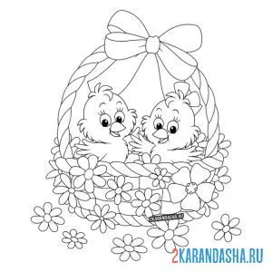 Раскраска цыплята в корзинке