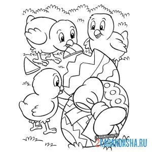 Раскраска цыплята нашли пасхальное яйцо