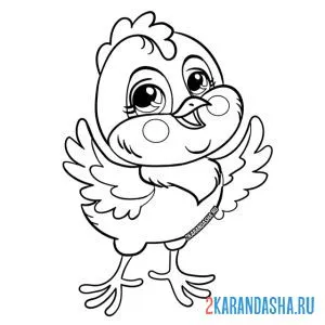 Раскраска цыпленок поет