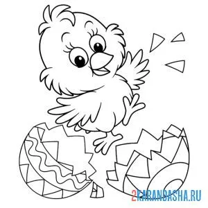 Раскраска цыпленок появился из яйца