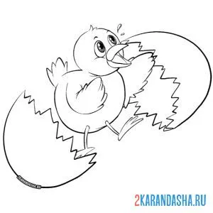 Раскраска цыпленок разбил яйцо