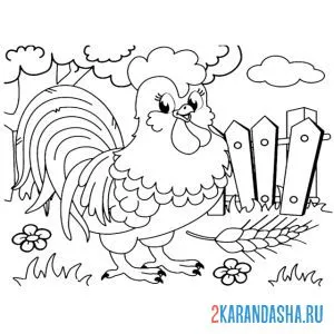 Раскраска петух у забора