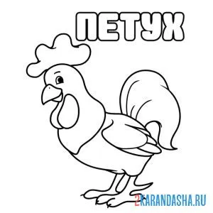 Раскраска слово петух