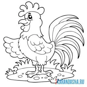Раскраска довольный петух