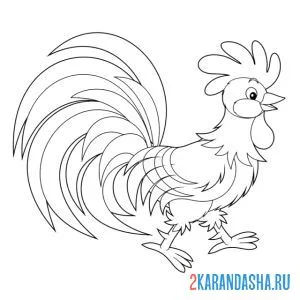 Раскраска важный петух