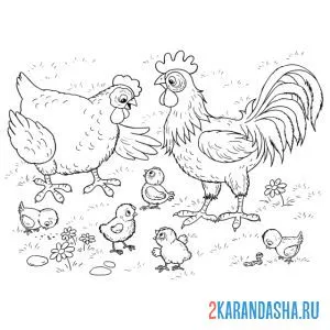 Раскраска семья петух, курица и цыплята