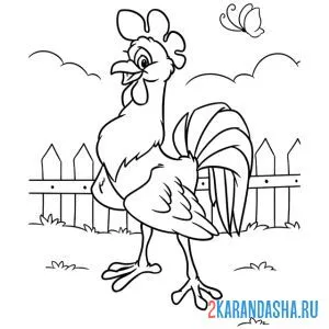 Раскраска статный петух