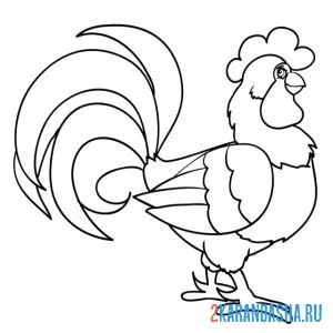 Раскраска петух сбоку