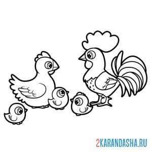 Раскраска петушиная семья