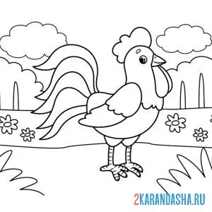 Раскраска во дворе петух
