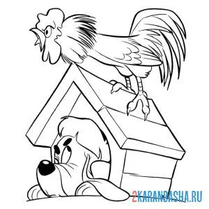 Раскраска петух оглушил собаку