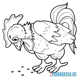 Раскраска петух хочет есть