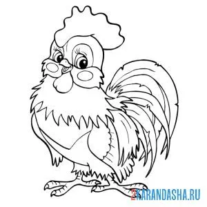 Раскраска очень хороший петух