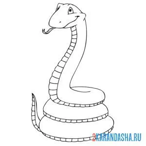 Раскраска большая змея