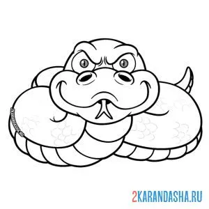 Раскраска суровая змея