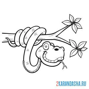 Раскраска змея на ветке