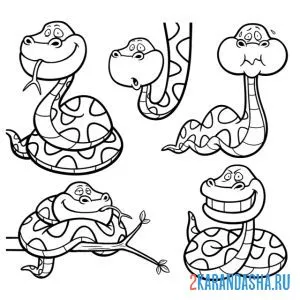Раскраска смешные змеи