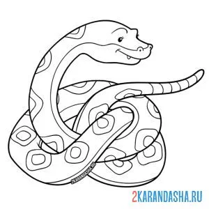 Раскраска питон змея